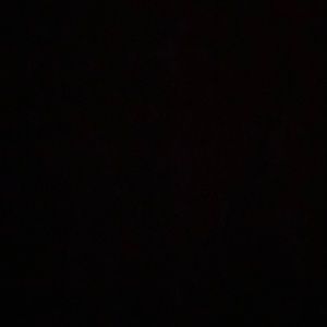 Meet your Posher, Elsa